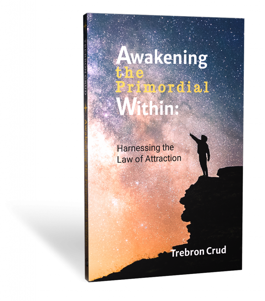 Awakening the Primordial Within: Harnessing the Law of Attraction - Book Cover